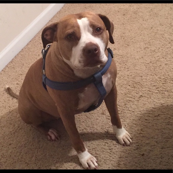 Meet your Posher, T - Picture 8 of 8